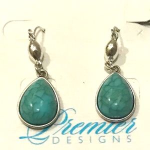 ❤️Price FIRM❤️  Premier Designs Candy Coated Earrings.